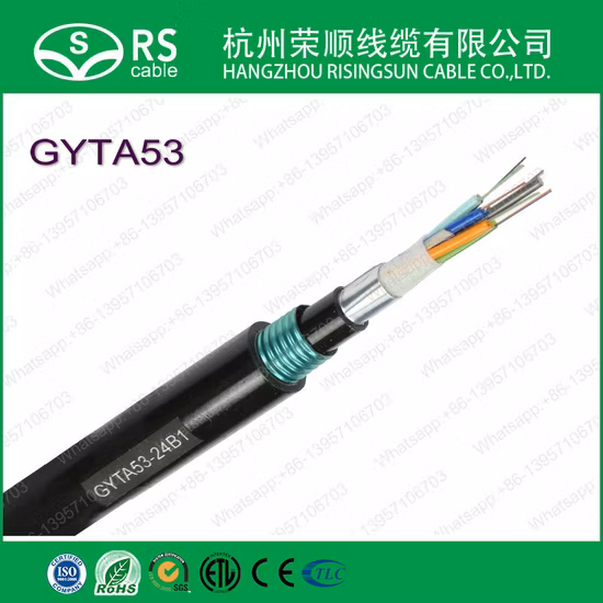 Câble à fibre optique Gyxtc8s/GYTY53/GYTA53/GYTS/ADSS Câble à fibre optique